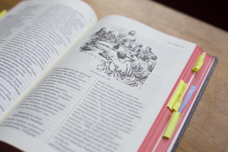 BIBLE BIBLE